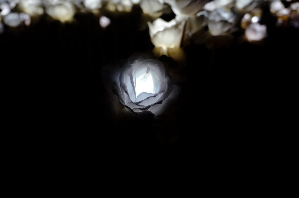 Illuminating Cebu: Exploring the Enchanting 10,000 Roses Café & More ...