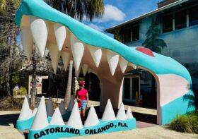 A Day at Gatorland Orlando: Feeding Capybaras and Meeting Gators